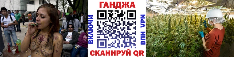 Купить где  Краснознаменск  Каннабис Bruce Banner 
